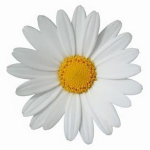 Meet your Posher, Trisha