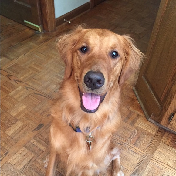 Meet your Posher, Nikki