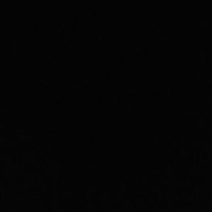 Meet your Posher, Daniela