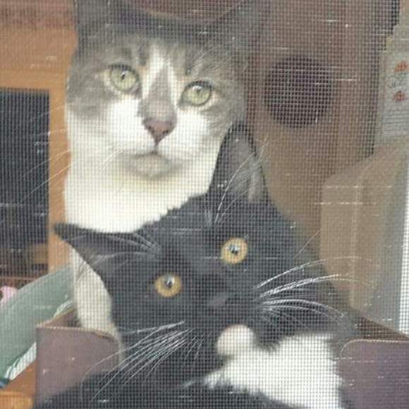 Meet your Posher, Tera