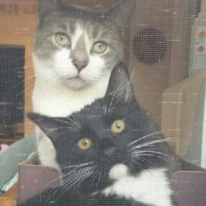 Meet your Posher, Tera