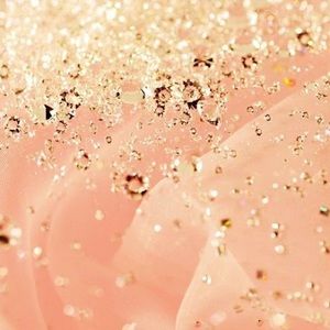 Meet your Posher, Carleigh