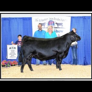 Meet your Posher, Amy