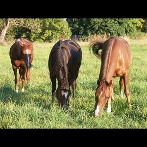 Meet your Posher, Daniela