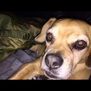 Meet your Posher, Kelsi