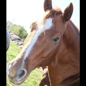 Meet your Posher, Courtney