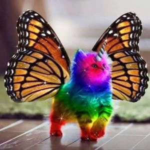 Meet your Posher, Anastasia