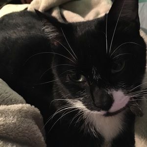 Meet your Posher, Maleny