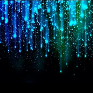 Meet your Posher, Lacey