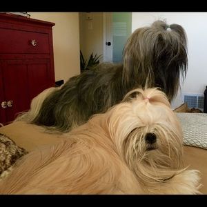 Meet your Posher, Kim