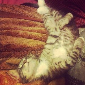 Meet your Posher, Cassandra