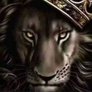 Meet your Posher, King