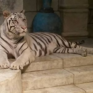 Meet your Posher, Ebonee