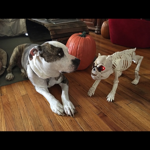 REASONABLE OFFERS ACCEPTED! 👻 - Picture 7 of 10