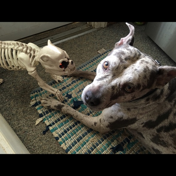 REASONABLE OFFERS ACCEPTED! 👻 - Picture 6 of 10