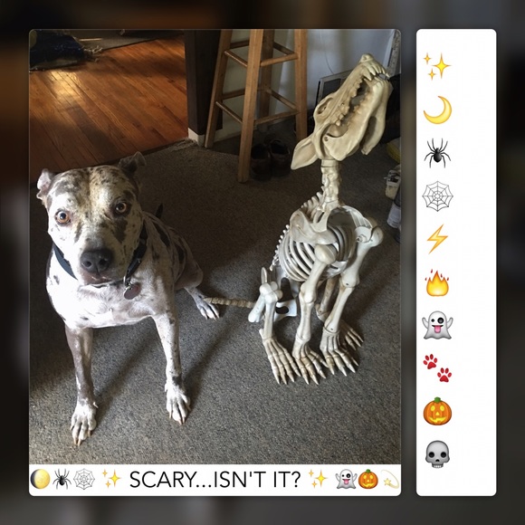 REASONABLE OFFERS ACCEPTED! 👻 - Picture 8 of 10