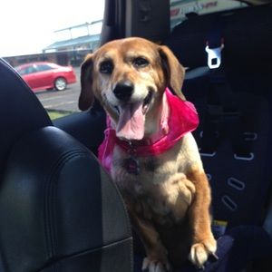 Meet your Posher, Angela