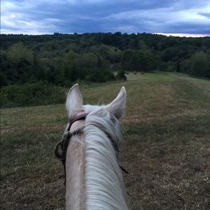 Meet your Posher, Debbie