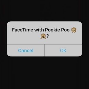 Meet your Posher, Morgan