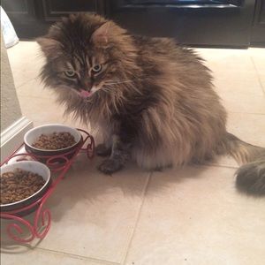 Meet your Posher, Meredith