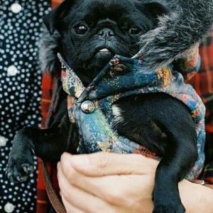 Meet your Posher, Megan