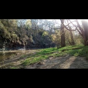 Meet your Posher, Dori