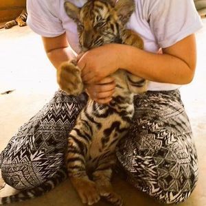 Meet your Posher, Victoria