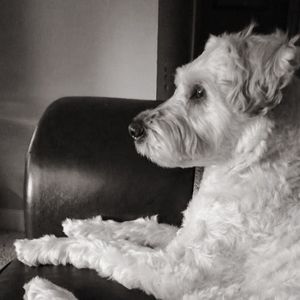 Meet your Posher, Brittney