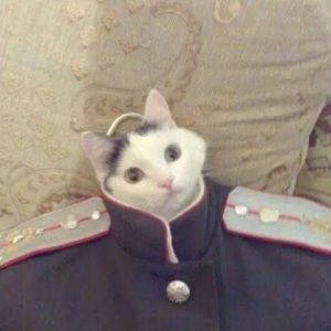 Meet your Posher, Joshua