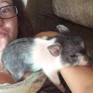 Meet your Posher, Olivia