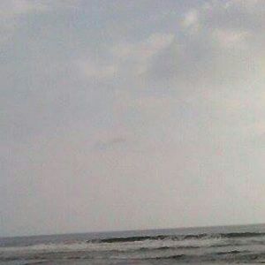 Meet your Posher, Natalia