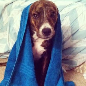 Meet your Posher, Stacey