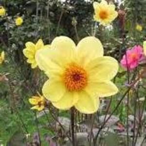 Meet your Posher, Regina