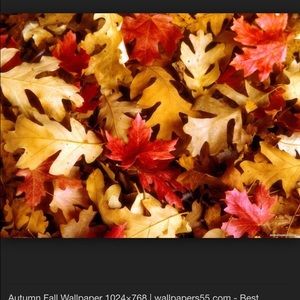 Meet your Posher, Lindsay