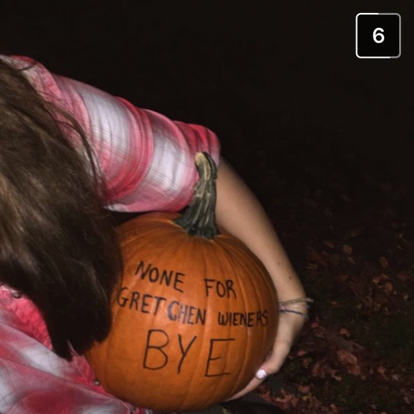 Meet your Posher, Tabby