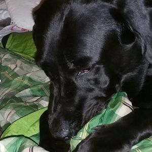 Meet your Posher, Ellin