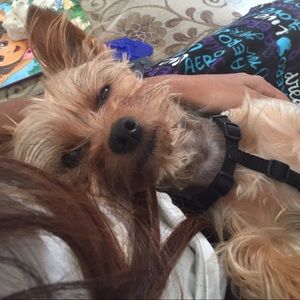 Meet your Posher, Tiffany