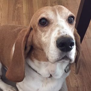 Meet your Posher, Jill