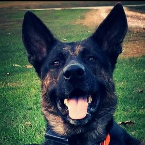 Meet your Posher, Leah