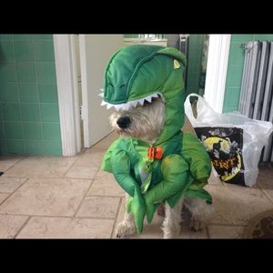 Meet your Posher, Katya