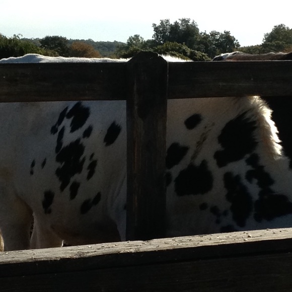 Meet your Posher, Lisa