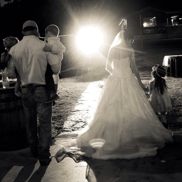 Meet your Posher, Stormy - Picture 1 of 1