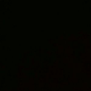 Meet your Posher, Liliana