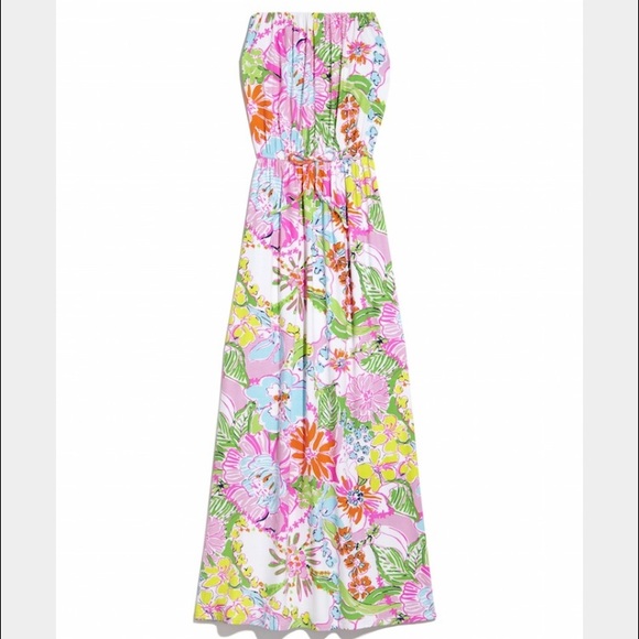❗️❗️Lily Pulitzer for Target Maxi Dress❗️❗️