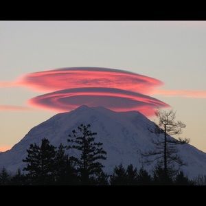 Meet your Posher, Tessa