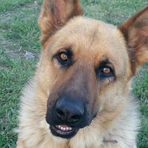 Meet your Posher, Sheila