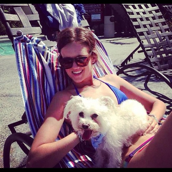 Meet your Posher, Bray - Picture 12 of 12