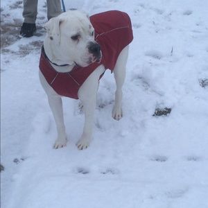 Meet your Posher, Cori