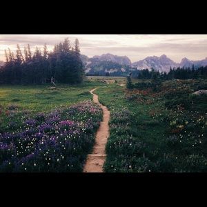 Meet your Posher, Laura