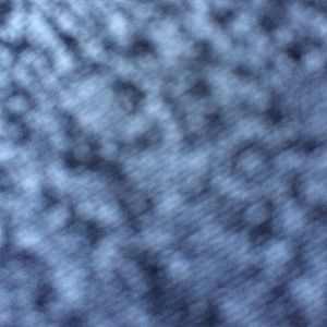 Meet your Posher, Lisandra